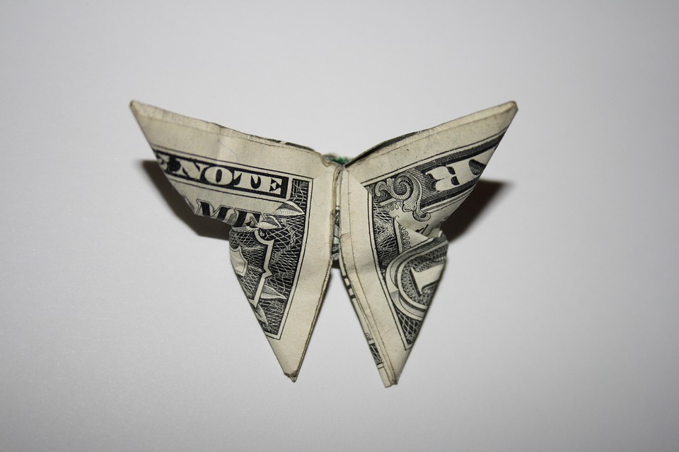 motýl z dolarů